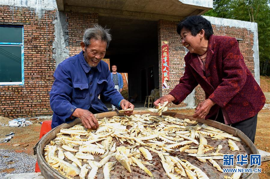 （脱贫攻坚）（2）福建永泰：脱贫户陈金莲一家的新生活