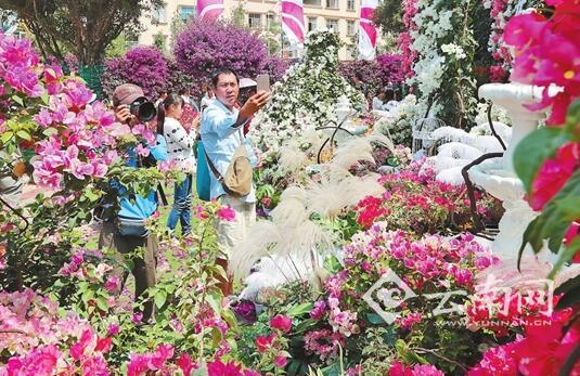 宜良花街节精彩启幕