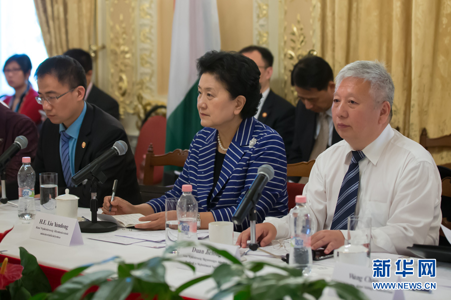 6月20日，在匈牙利首都布达佩斯，中国国务院副总理刘延东（中）与匈牙利各界友好人士举行座谈。 新华社发（弗尔季·奥蒂洛摄） 