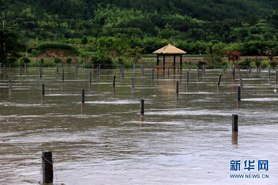 #（环境）（2）安徽黄山遭遇强降雨