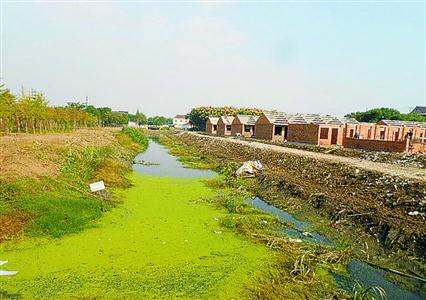 盛宅浜整治前河道淤积,岸边垃圾随处可见. (资料)