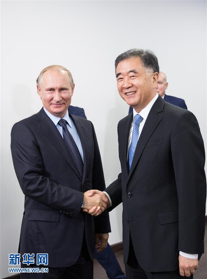 9月6日，俄罗斯总统普京（左）在符拉迪沃斯托克会见应邀出席第三届东方经济论坛的中国国务院副总理汪洋。 新华社记者 吴壮 摄