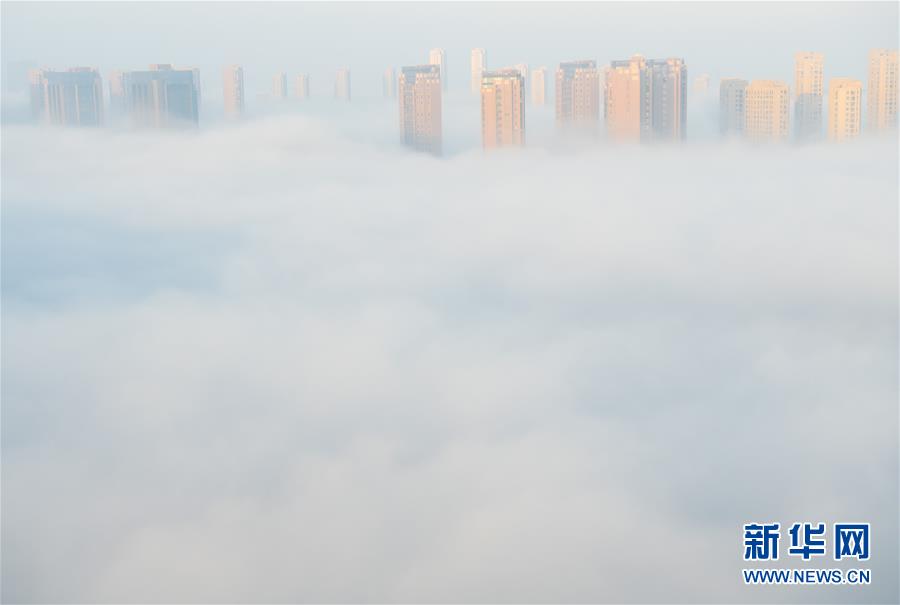 （环境）（1）浙江上虞出现平流雾景观