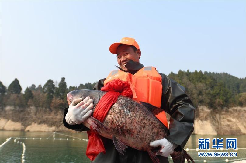 （社会）（2）四川广元：观巨网捕捞 享渔旅文化