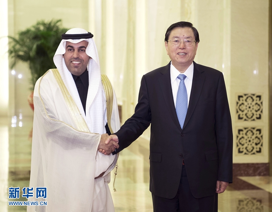 1月23日，全国人大常委会委员长张德江在北京人民大会堂与阿拉伯议会议长苏莱米举行会谈。 新华社记者 李涛 摄