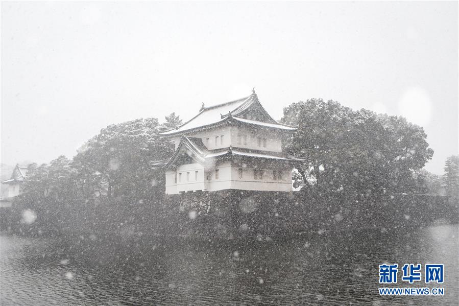 （国际·一周看天下）东京初雪