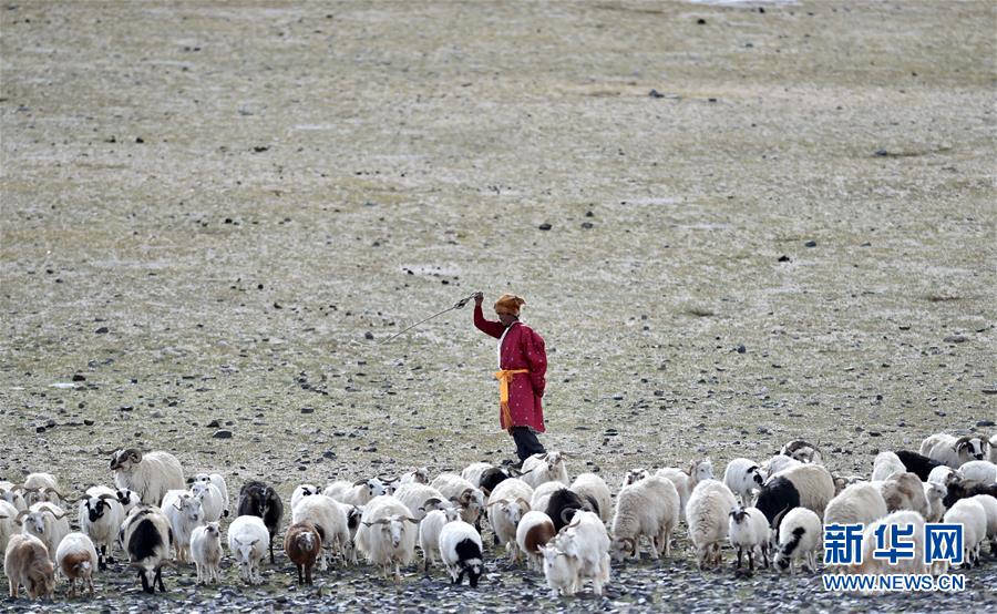 （新华全媒头条·图文互动）（6）跨越千里的远行——西藏首批高海拔地区群众生态搬迁实录
