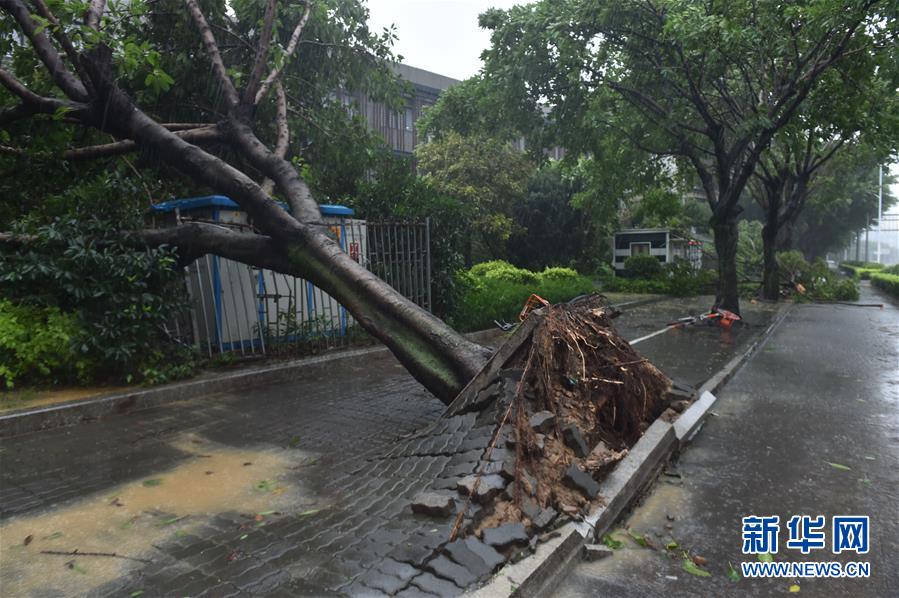 （關注“瑪莉亞”）（4）颱風影響福州市區