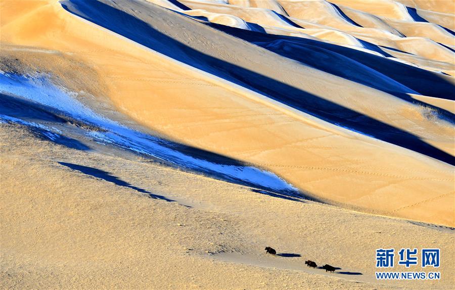 （环境）（13）白皮书：青藏高原地区仍然是地球上最洁净的地区之一