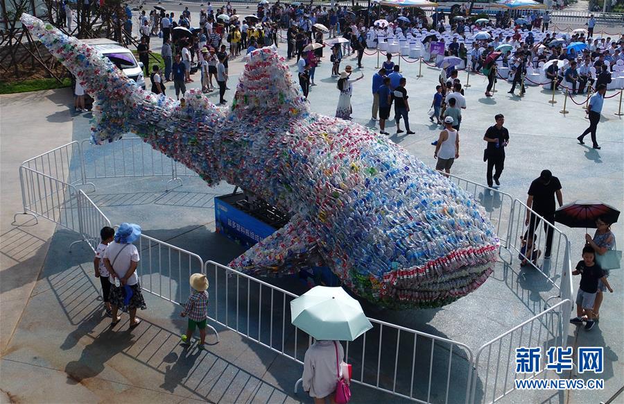 #（社會）（3）山東日照：廢舊塑膠瓶變“鯨鯊”