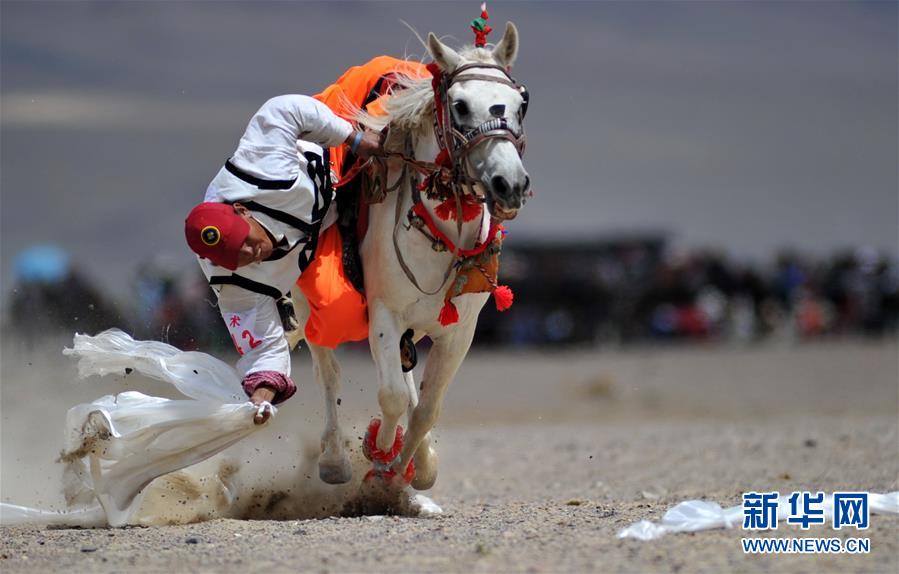 （體育）（3）西藏阿裏舉行賽馬競技大賽