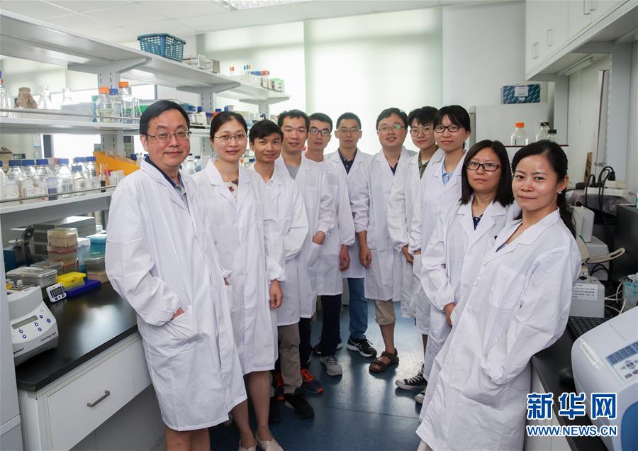 （科技）（1）中国“创造”世界首例单条染色体真核细胞