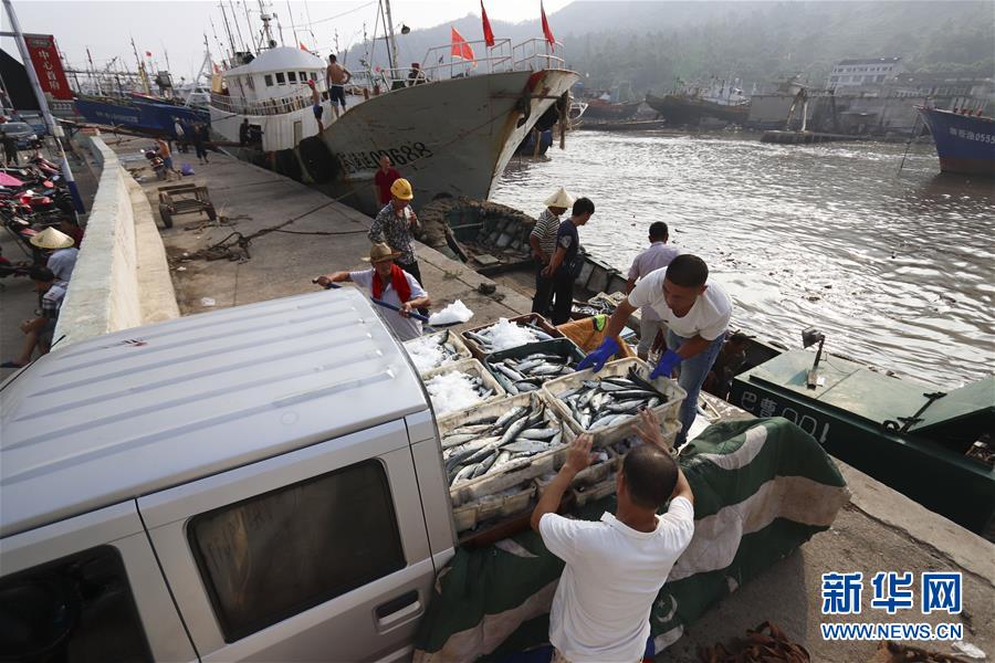 #（環境）（4）颱風來襲 船只歸港