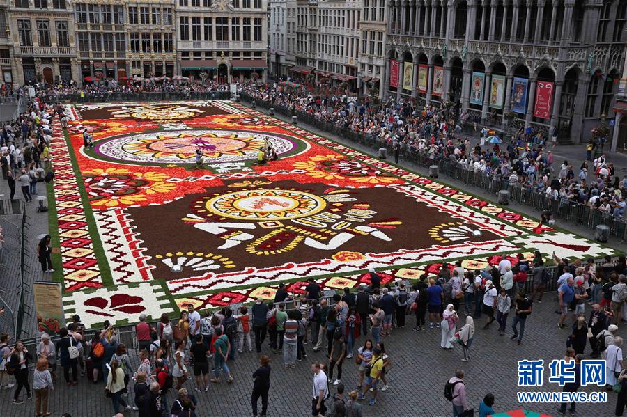 （国际）（4）布鲁塞尔鲜花地毯