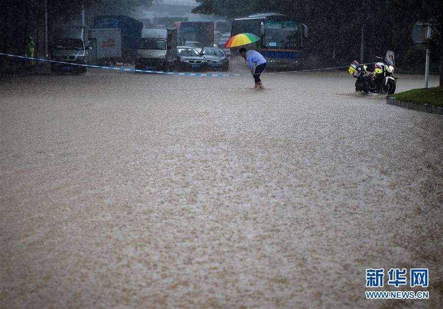 （环境）（2）深圳遭遇暴雨天气 