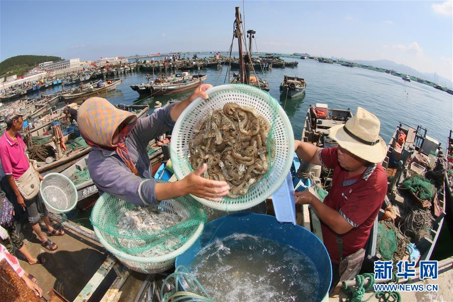 #（经济）（3）黄渤海伏季休渔期结束