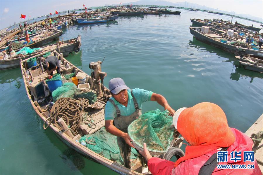 #（经济）（5）黄渤海伏季休渔期结束