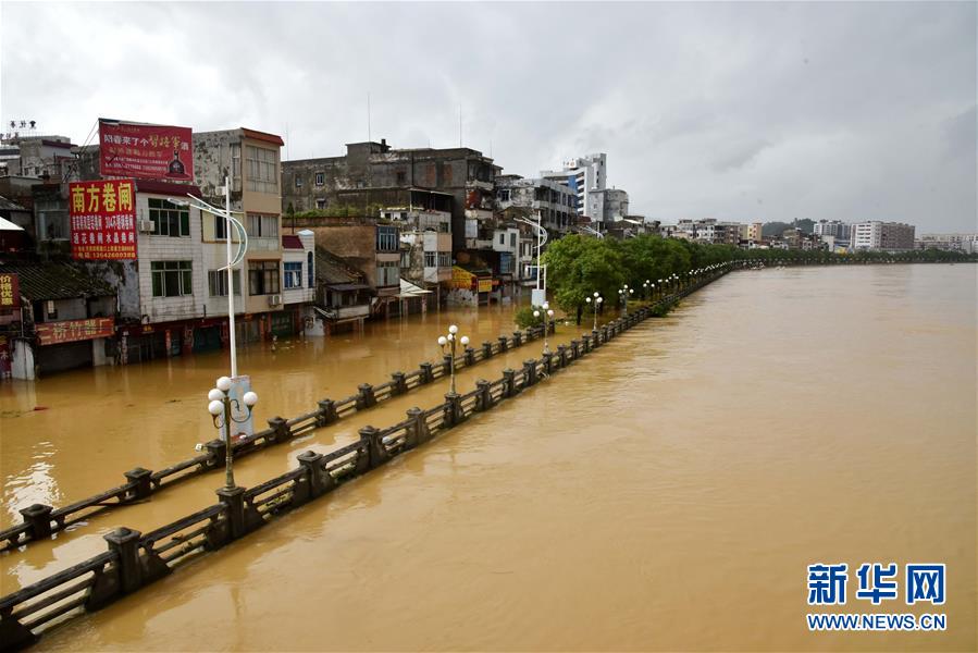 （关注“山竹”）（3）广东阳春部分街道房屋被洪水浸泡