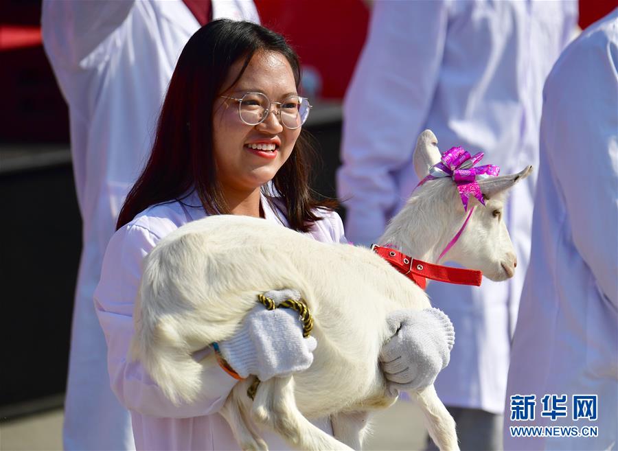 （新华全媒头条·图文互动）（6）最年轻的节日 最悠久的牵念——写给首个中国农民丰收节