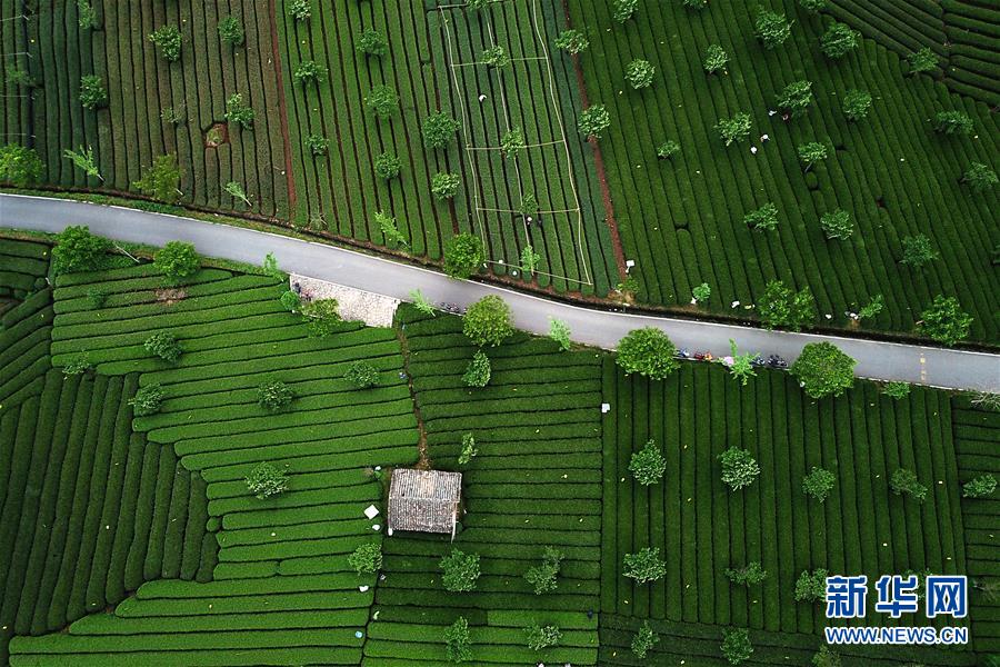 （图文互动）（4）顶层设计＋万千农户绘就中国农村新画卷——浙江“千万工程”获联合国“地球卫士奖”