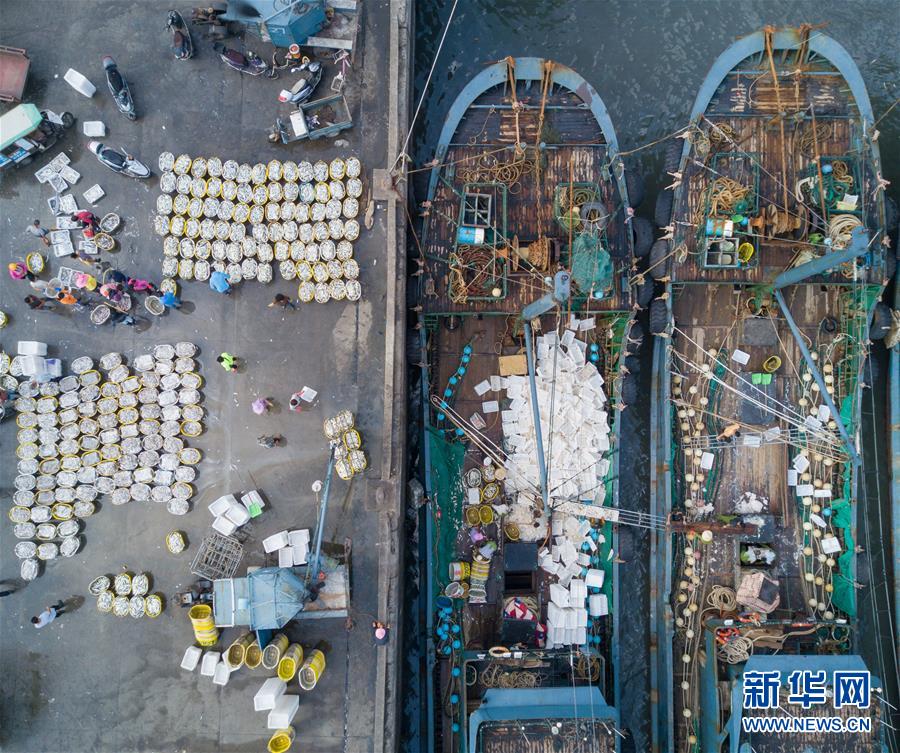（经济）（3）国庆渔港收获忙