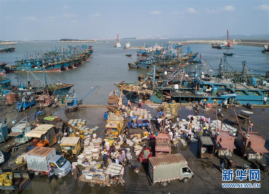（经济）（6）国庆渔港收获忙
