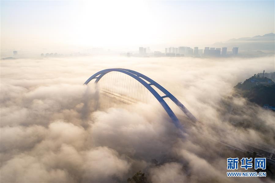 #（经济）（5）广西柳州官塘大桥建成通车