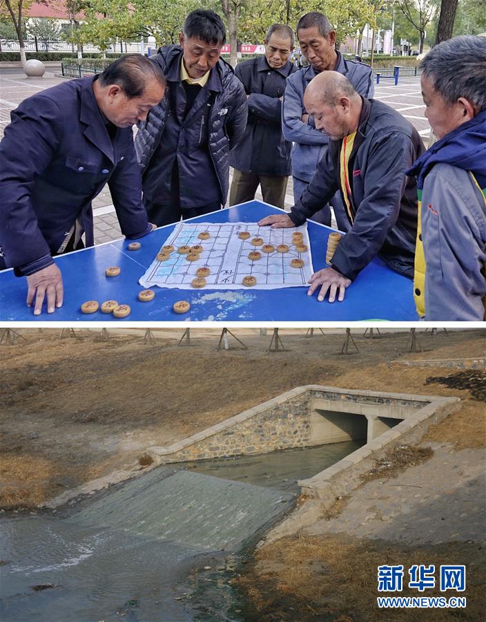 （新华全媒头条·图文互动）（4）复苏的河流——北京凉水河再调查