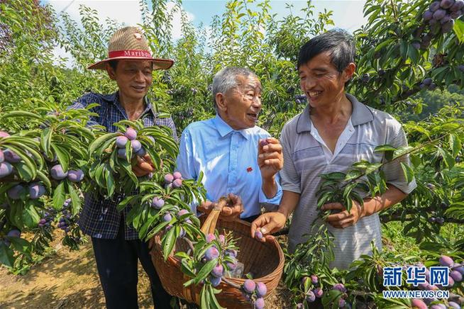 （新华全媒头条·诚信建设万里行·图文互动）（5）承诺——记“大山里的老愚公”黄大发