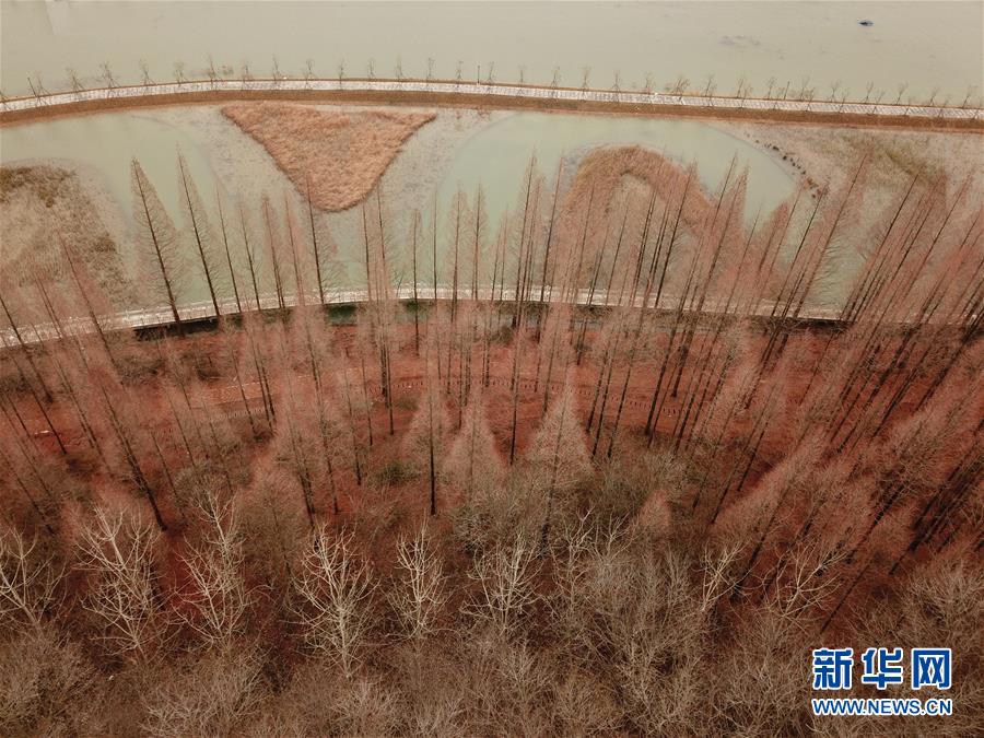 #（新華視界）（3）古堰長堤層林盡染