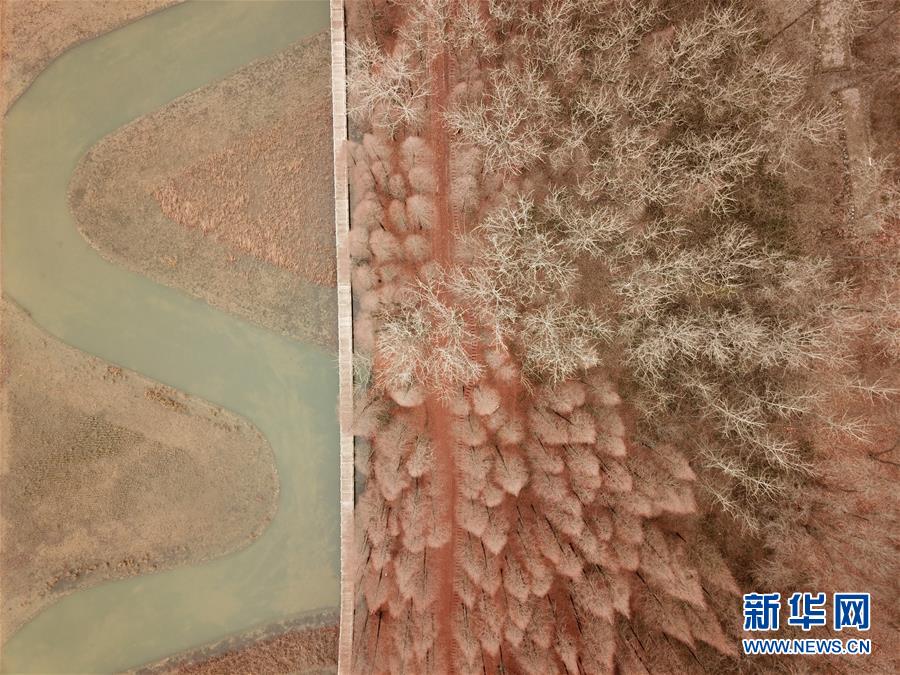 #（新華視界）（6）古堰長堤層林盡染