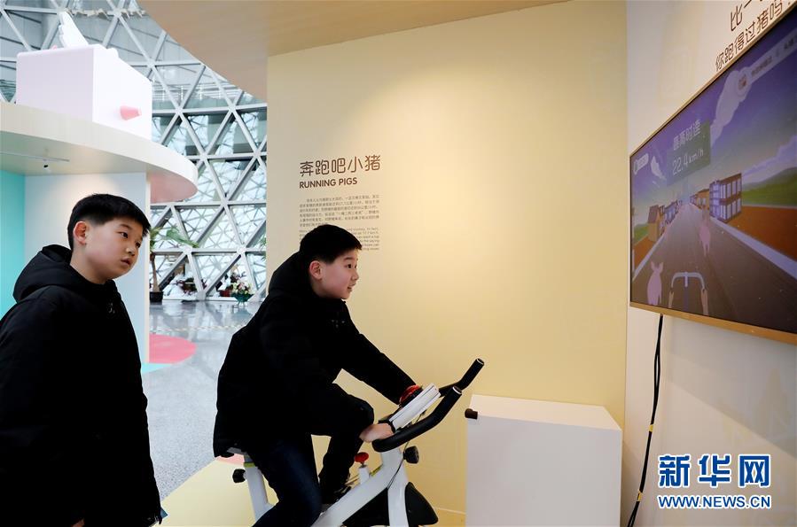 （文化）（2）上海科技馆举行猪年生肖特展