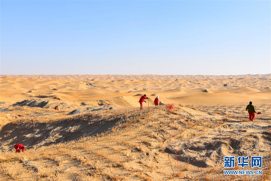 （新春走基层·图文互动）（1）走进塔克拉玛干：探访沙漠物探人