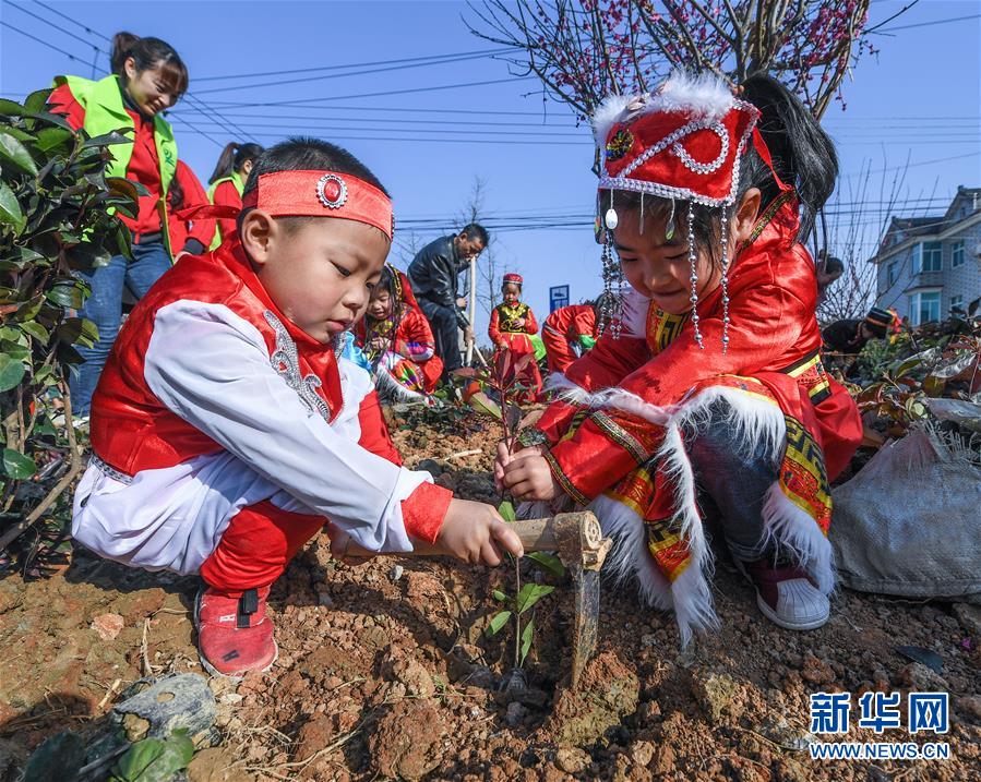（社会）（2）多民族儿童共迎植树节