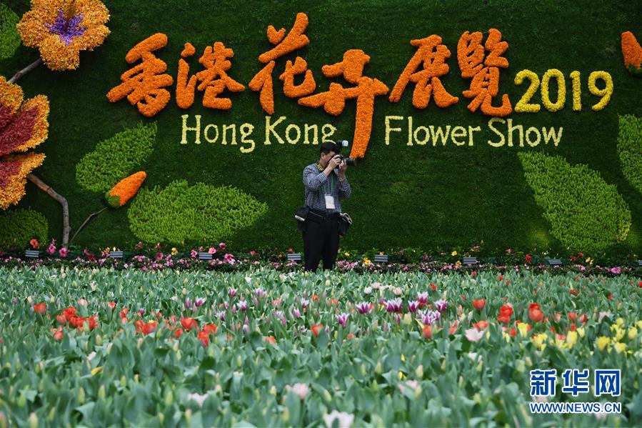 （社会）（1）2019年香港花卉展览即将揭幕