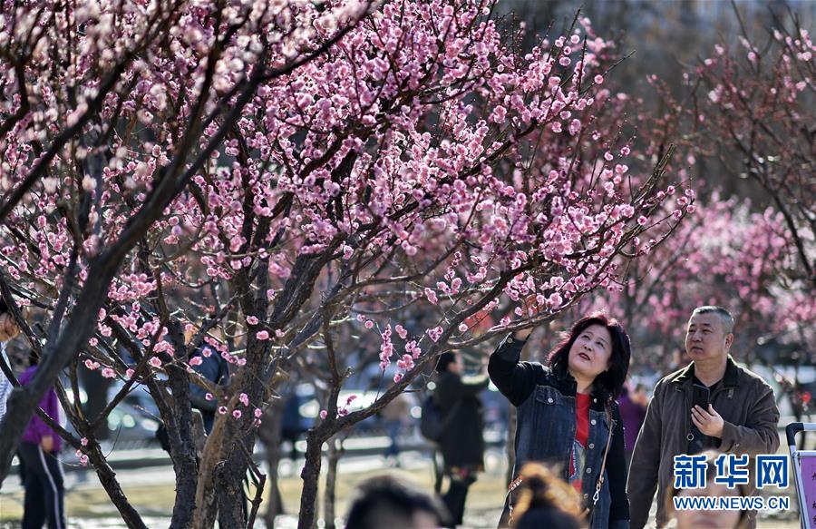 （環境）（2）北京：春意盎然