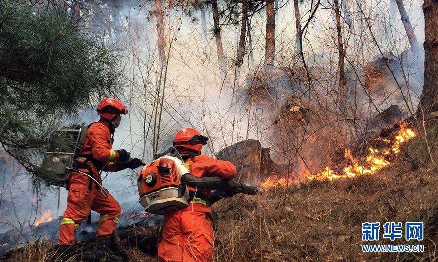 （突发事件）北京密云发生森林火灾 应急管理部紧急部署扑灭工作