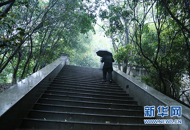 图为76岁的张晏生老人冒雨登龟山前往向警予烈士陵园祭扫.