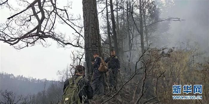 （图文互动）（1）公安勘察确定木里森林火灾起火原因为雷击火