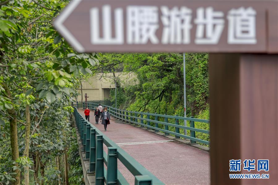 （城市綠道建設·圖文互動）（4）重慶山城步道：徜徉在綠水青山間的鄉愁記憶