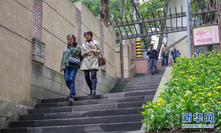 （城市綠道建設·圖文互動）（5）重慶山城步道：徜徉在綠水青山間的鄉愁記憶