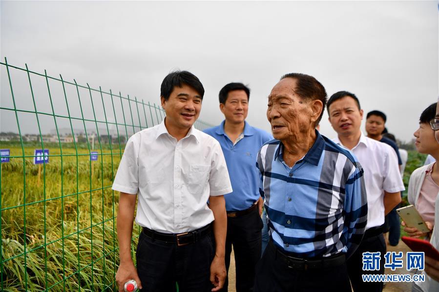 （爱国情 奋斗者·图文互动）（1）一颗稻谷里的爱国情怀——记“杂交水稻之父”袁隆平