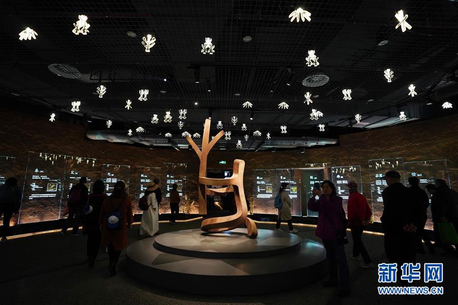 （北京世园会）（6）2019年中国北京世界园艺博览会开园