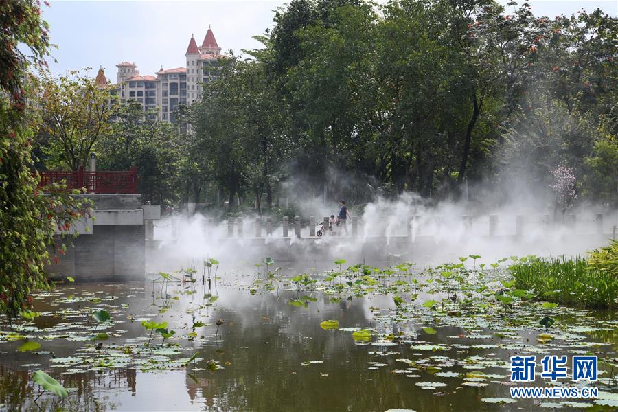 （在习近平新时代中国特色社会主义思想指引下——新时代新作为新篇章·图文互动）（4）湿地就在城中央——珠三角重塑人与自然和谐共生图景