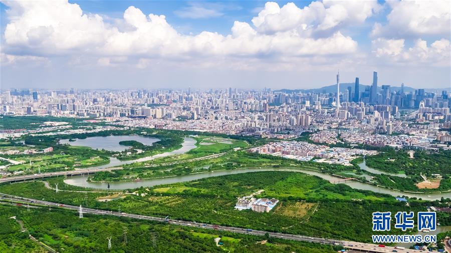 （在习近平新时代中国特色社会主义思想指引下——新时代新作为新篇章·图文互动）（7）湿地就在城中央——珠三角重塑人与自然和谐共生图景