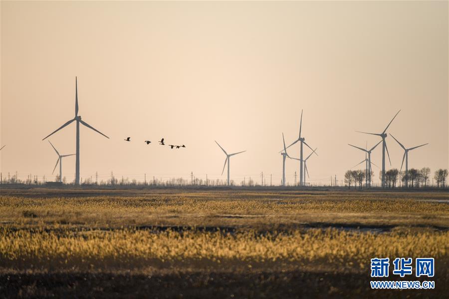 （北京世园会·图文互动）（2）吉林分区域推进生态保护 让绿色发展底气更足