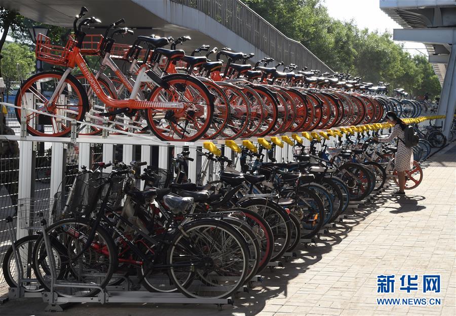 （社會）（2）北京首條自行車專用路開通