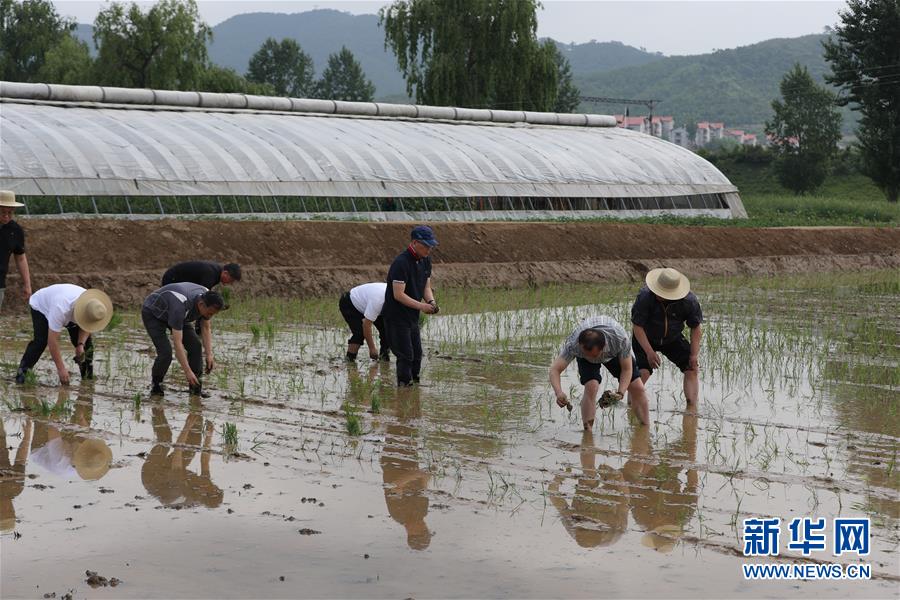 （国际·图文互动）（6）通讯：建设社会主义新农村是朝鲜党和农民的共同愿望——朝中友好宅庵合作农场访问记