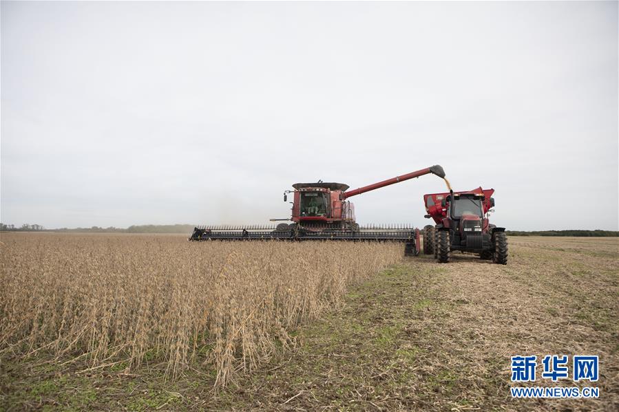 （国际·图文互动）（2）财经观察：经贸摩擦让阿根廷丰收大豆出口遭遇颓势