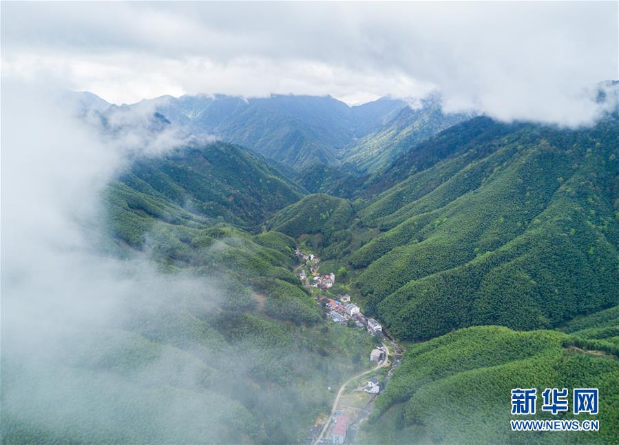 （北京世园会）（3）生态中国·碧水丹山瞰武夷
